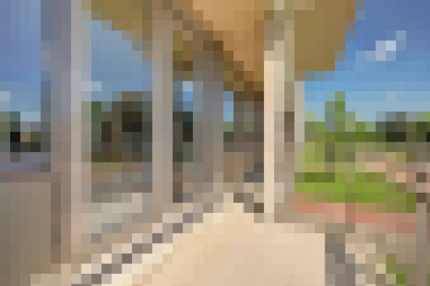 Geuzenpad 11 Vianen thumbnail 33