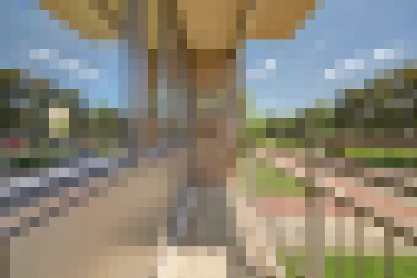 Geuzenpad 11 Vianen thumbnail 34
