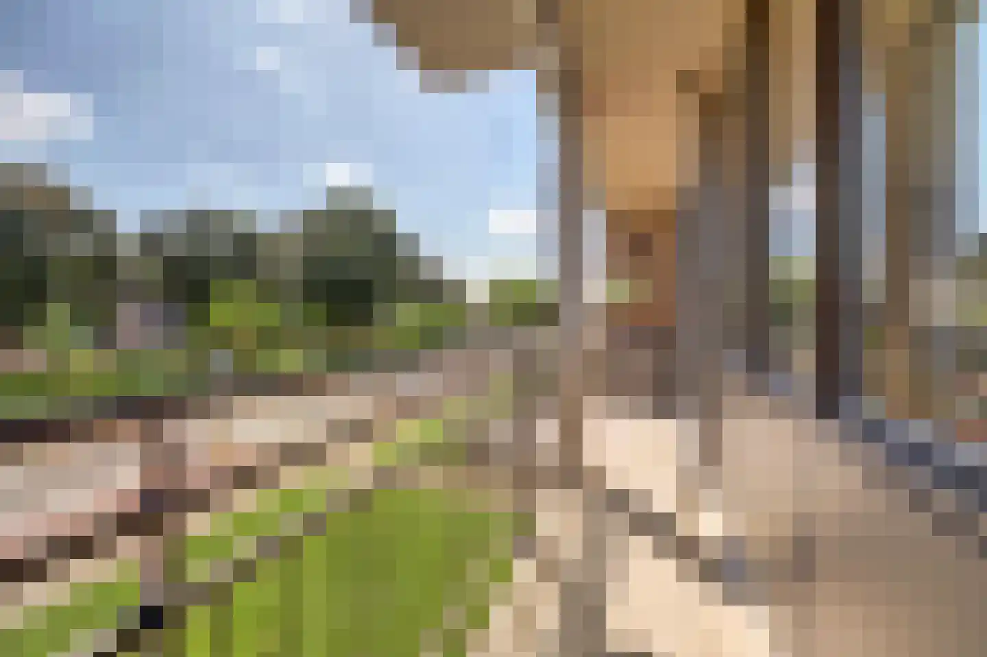 Geuzenpad 11 Vianen thumbnail 35