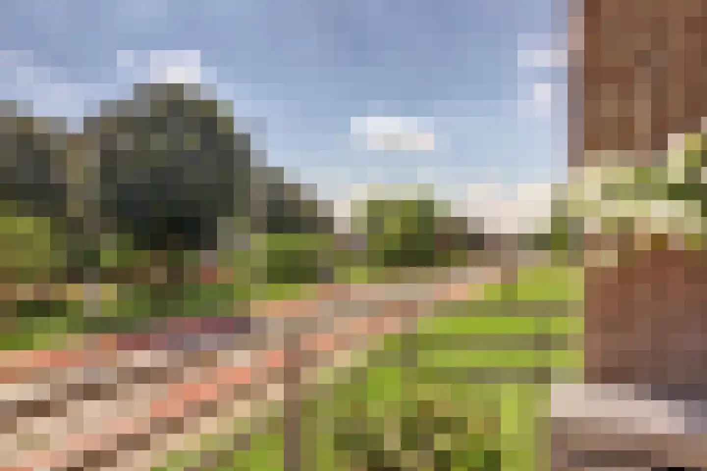 Geuzenpad 11 Vianen thumbnail 36