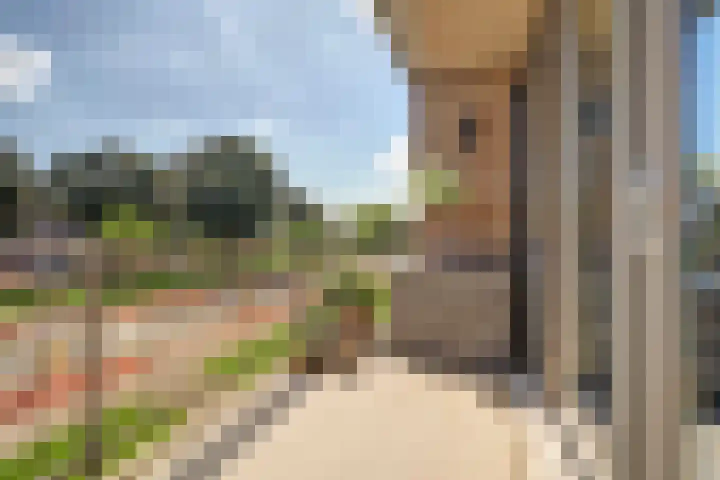 Geuzenpad 11 Vianen thumbnail 4