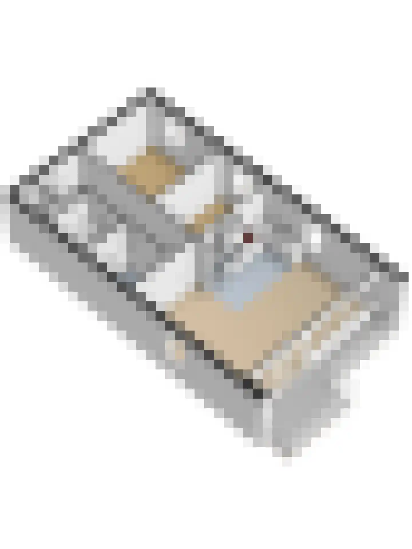 Geuzenpad 11 Vianen thumbnail 47