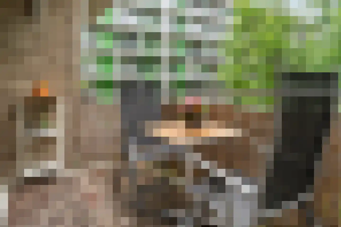 Geuzenpad 13 Vianen thumbnail 7