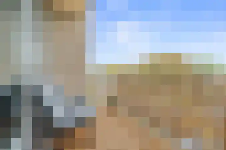 Geuzenpad 17 Vianen thumbnail 11