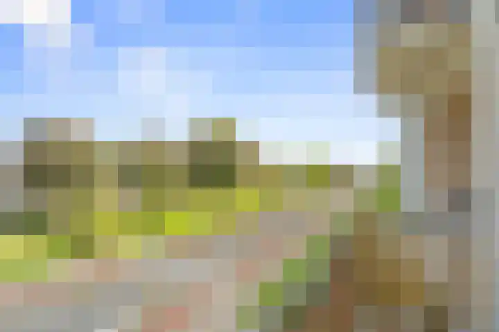 Geuzenpad 17 Vianen thumbnail 12