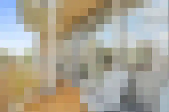 Geuzenpad 17 Vianen thumbnail 13