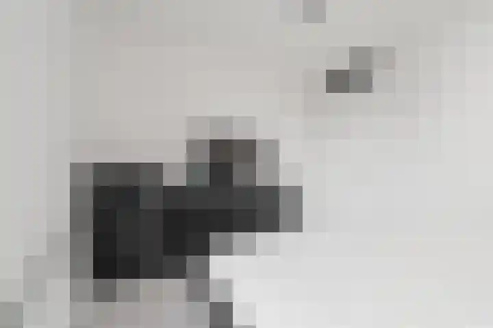 Geuzenpad 17 Vianen thumbnail 15