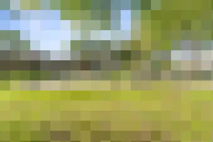 Geuzenpad 17 Vianen thumbnail 26