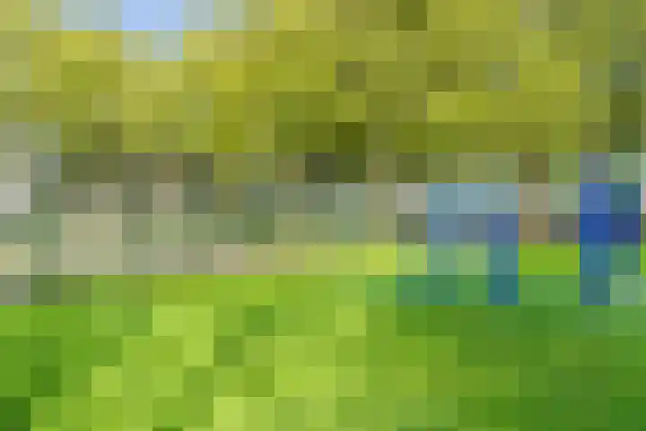 Geuzenpad 17 Vianen thumbnail 27