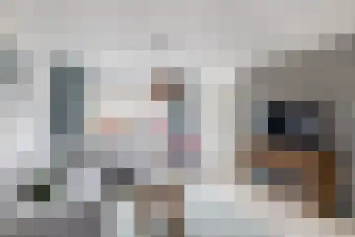 Geuzenpad 28 Goedereede thumbnail 10