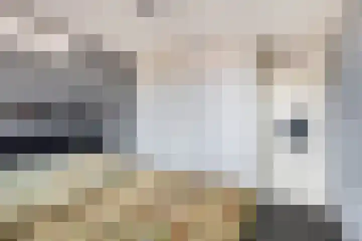 Geuzenpad 28 Goedereede thumbnail 18