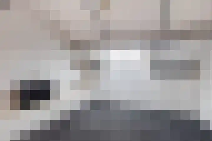 Geuzenpad 28 Goedereede thumbnail 26