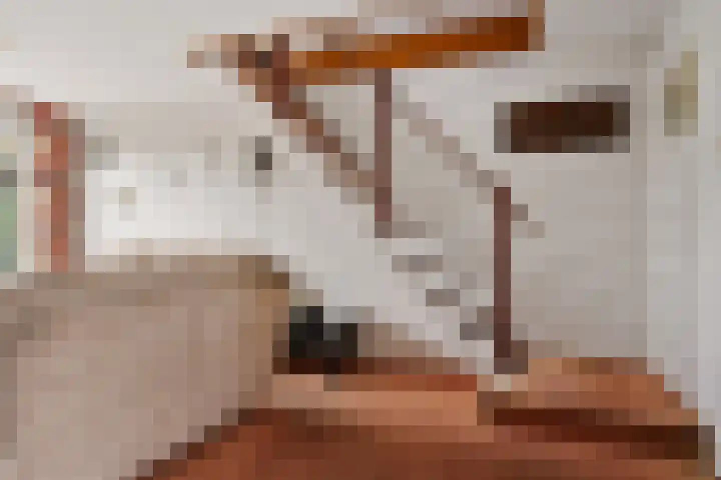 Geuzenpad 4 Zoetermeer thumbnail 11