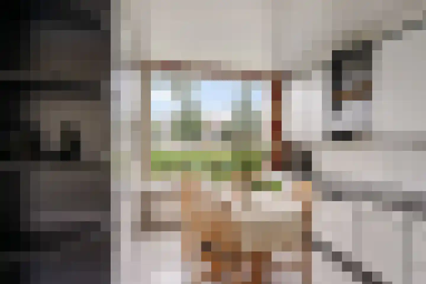 Geuzenpad 4 Zoetermeer thumbnail 12