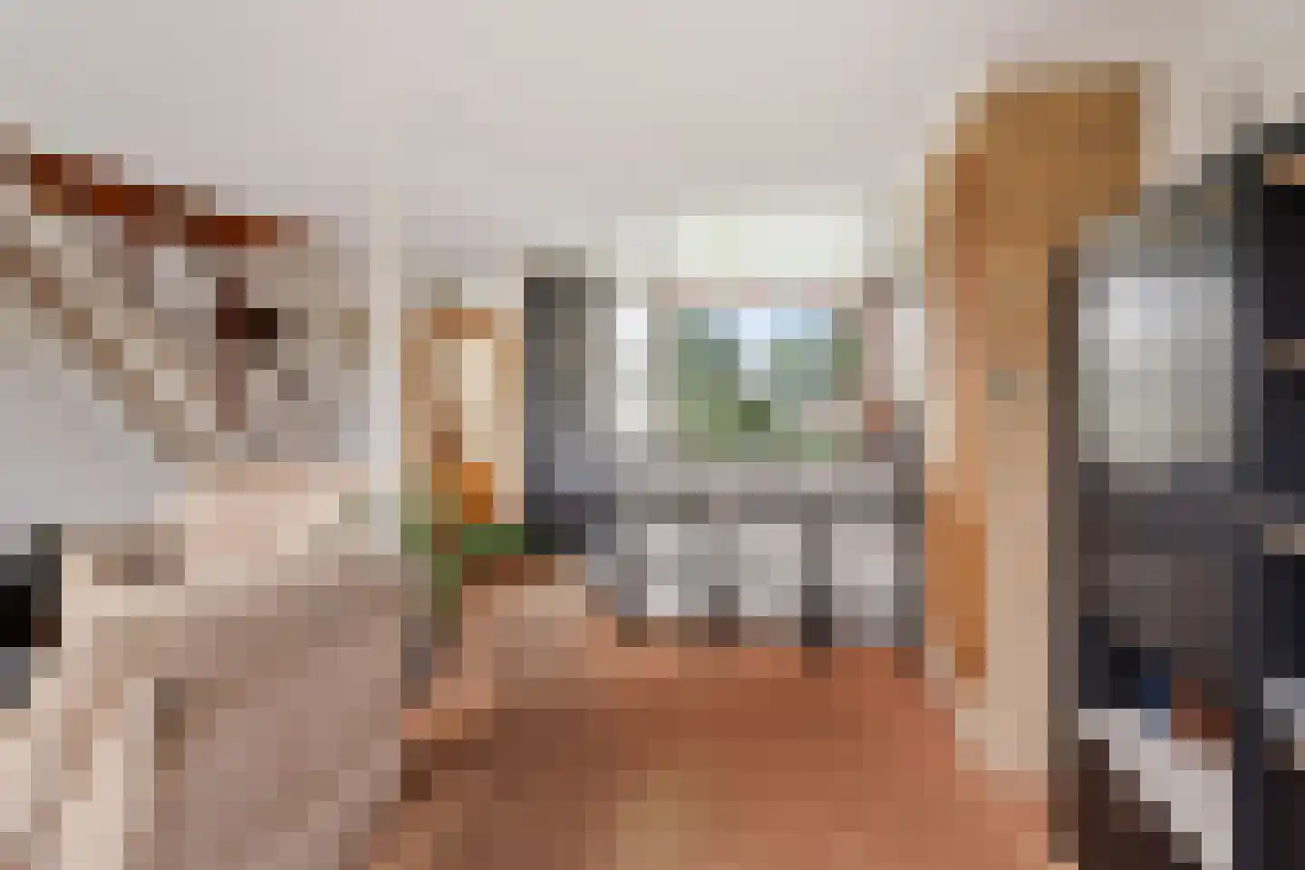 Geuzenpad 4 Zoetermeer thumbnail 13
