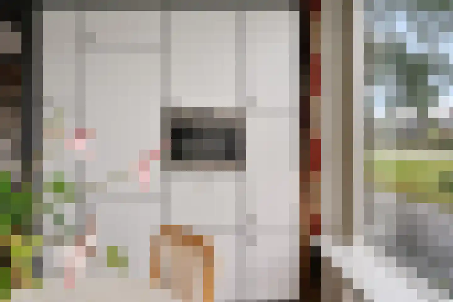 Geuzenpad 4 Zoetermeer thumbnail 15