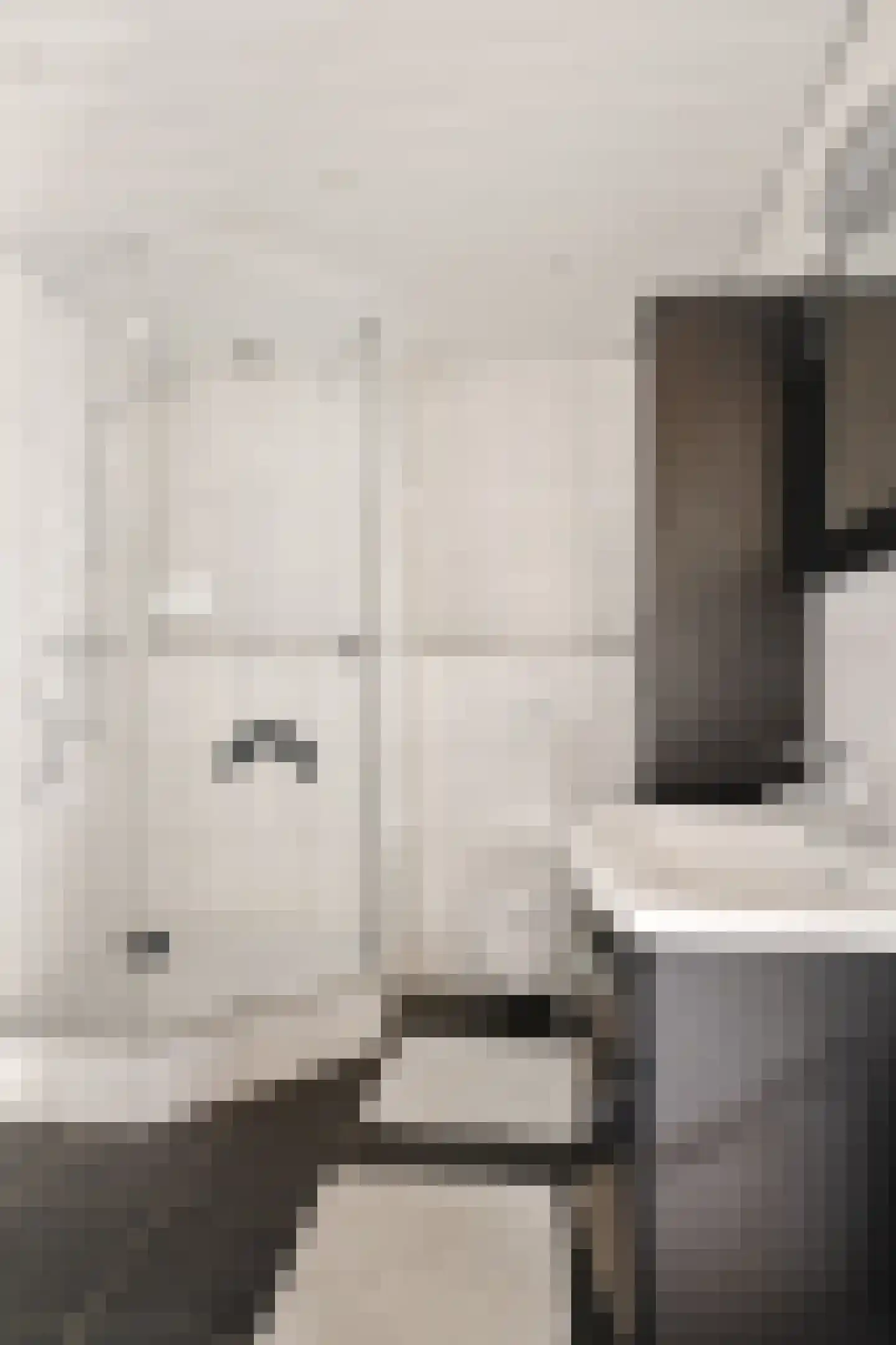 Geuzenpad 4 Zoetermeer thumbnail 38