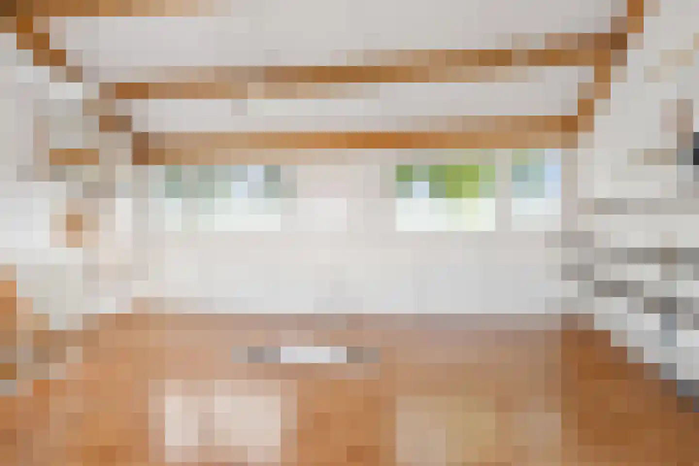 Geuzenpad 4 Zoetermeer thumbnail 47