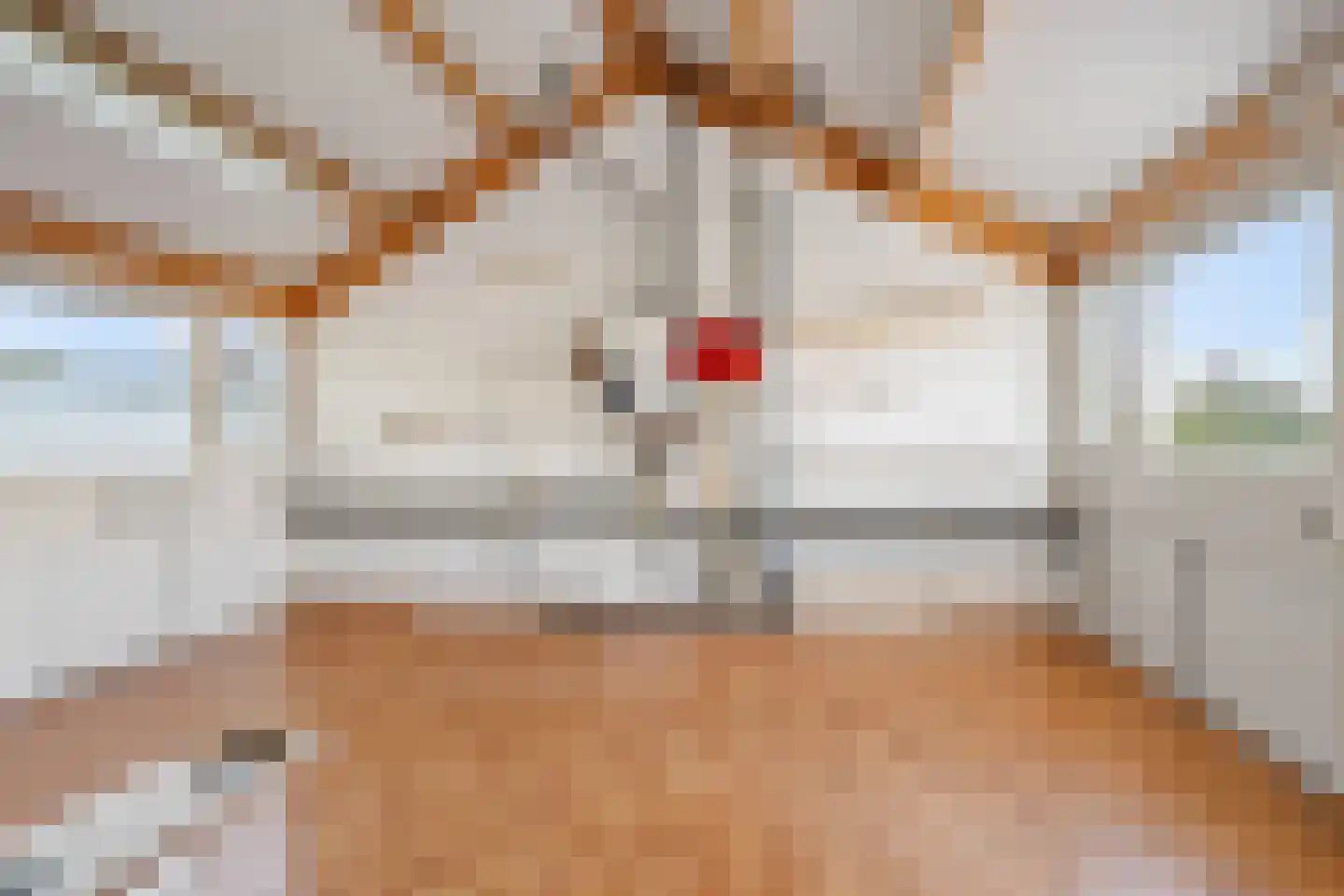 Geuzenpad 4 Zoetermeer thumbnail 48