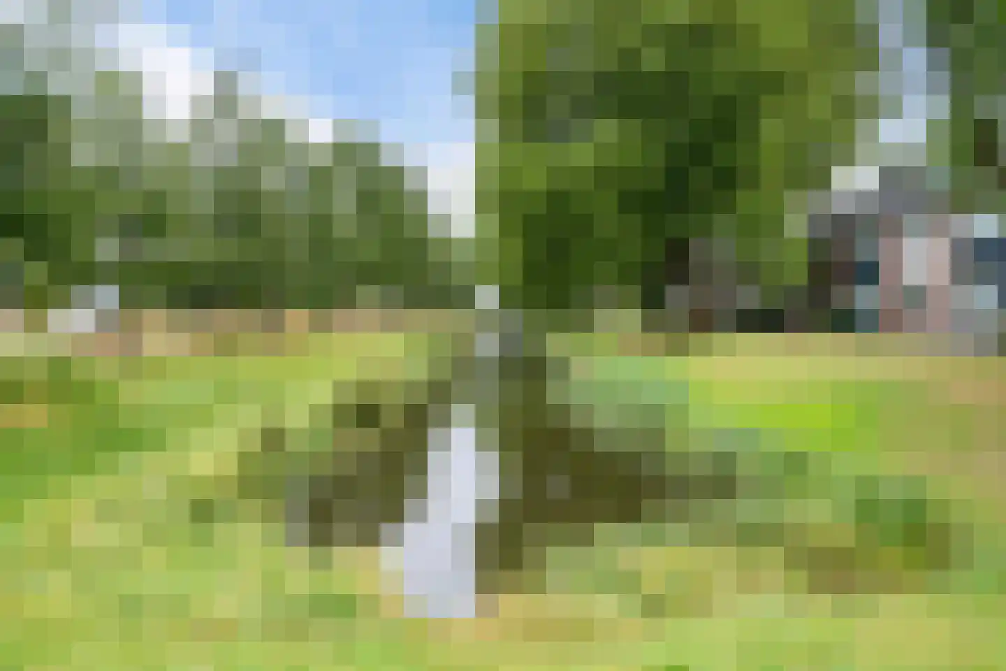 Geuzenpad 4 Zoetermeer thumbnail 54