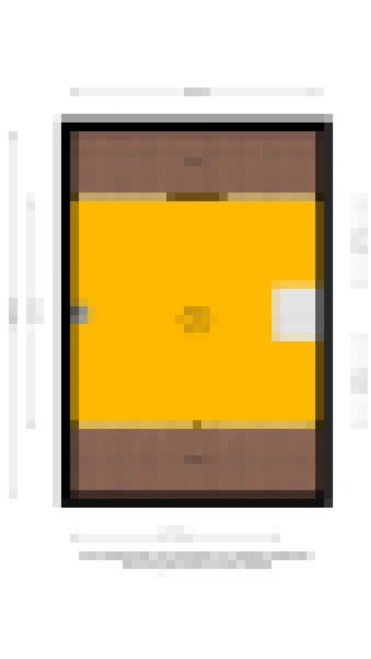 Geuzenpad 4 Zoetermeer thumbnail 61