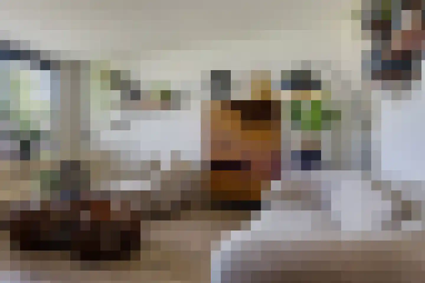 Geuzenpad 5 Zoetermeer thumbnail 10