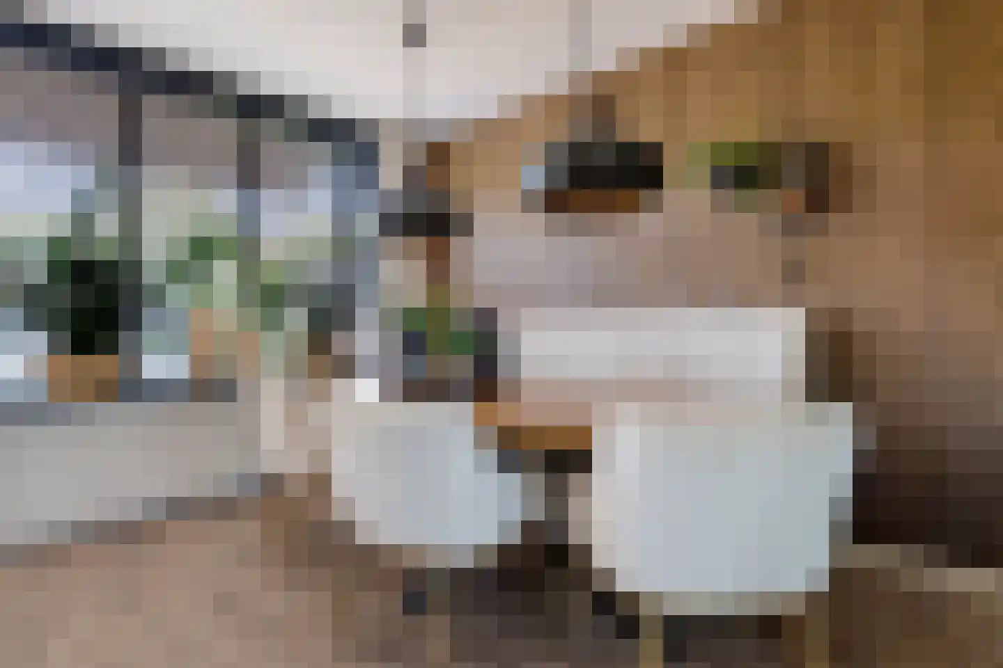Geuzenpad 5 Zoetermeer thumbnail 12