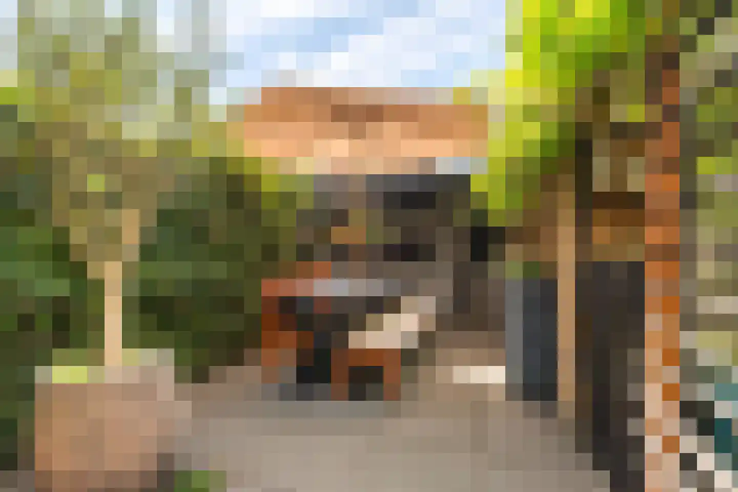 Geuzenpad 5 Zoetermeer thumbnail 23