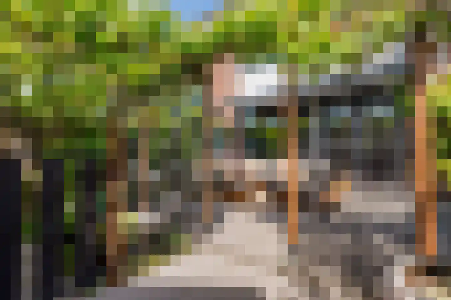 Geuzenpad 5 Zoetermeer thumbnail 24