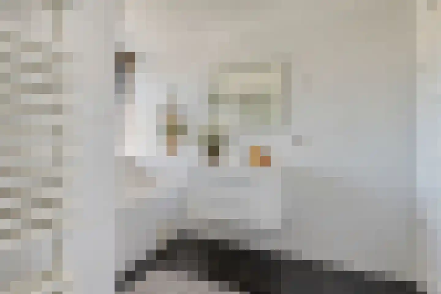 Geuzenpad 5 Zoetermeer thumbnail 32