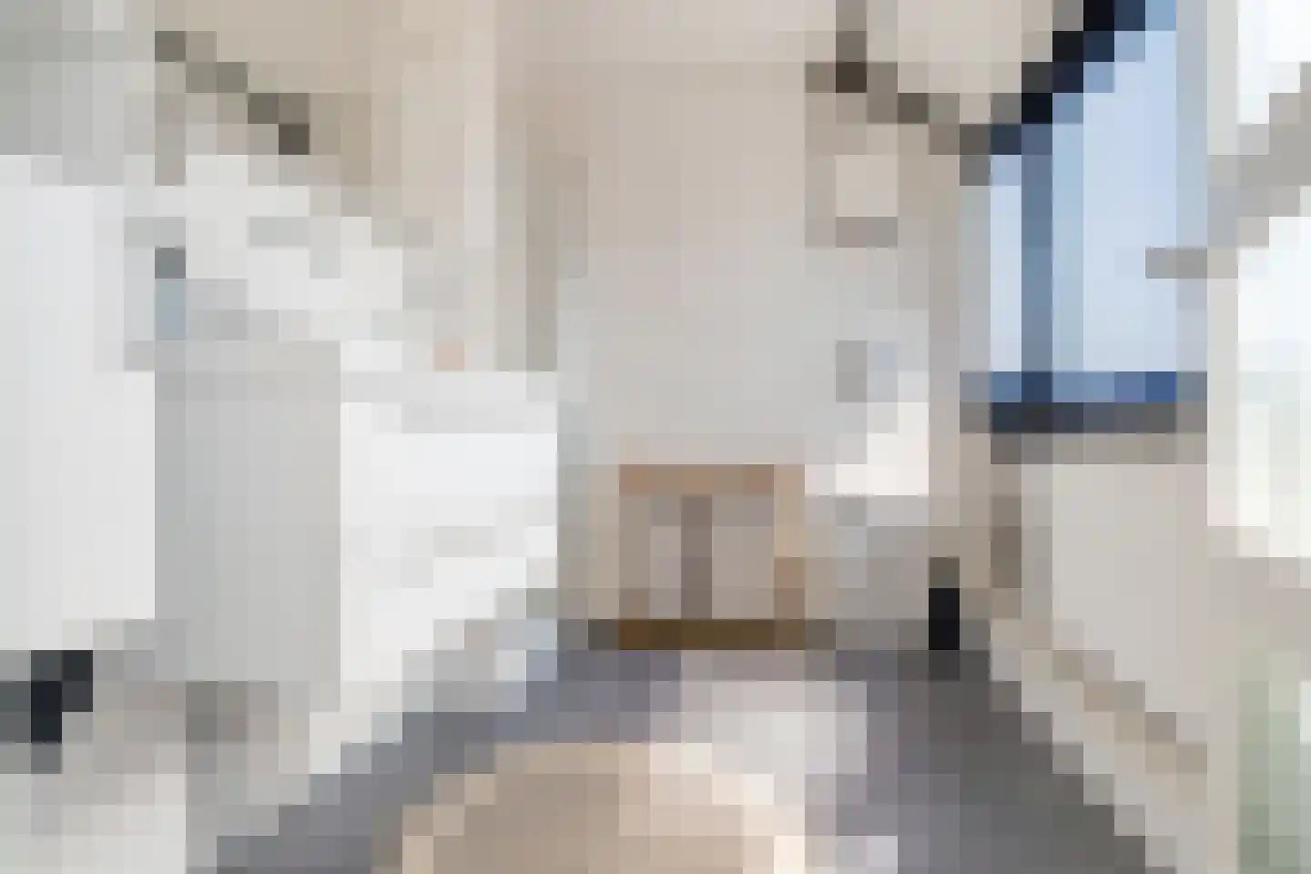 Geuzenpad 5 Zoetermeer thumbnail 41