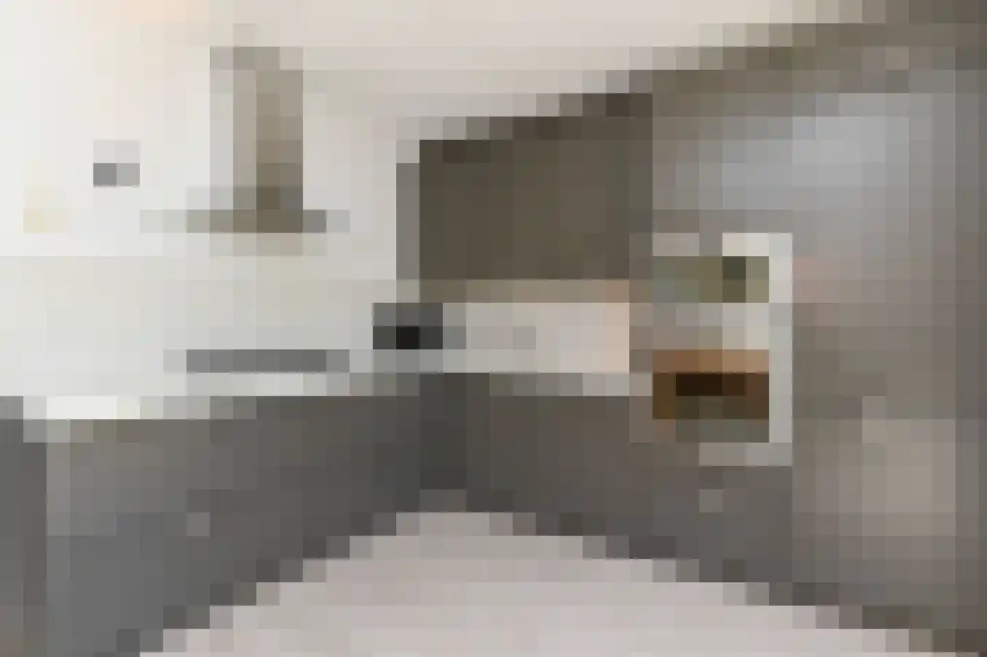 Geuzenpad 6 Zoetermeer thumbnail 15