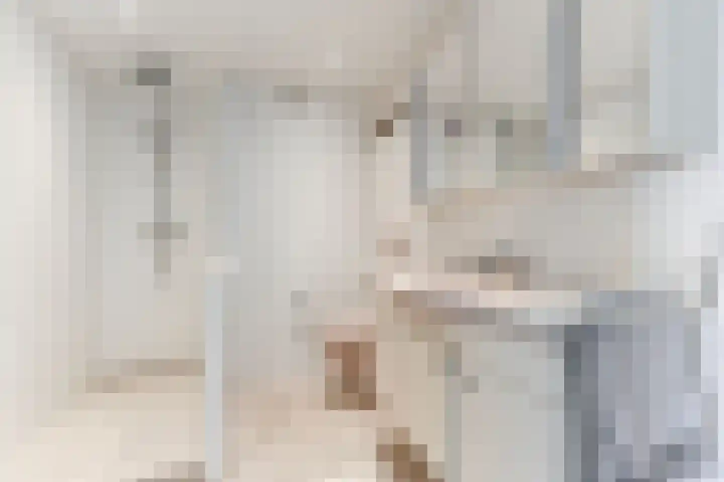 Geuzenpad 6 Zoetermeer thumbnail 28