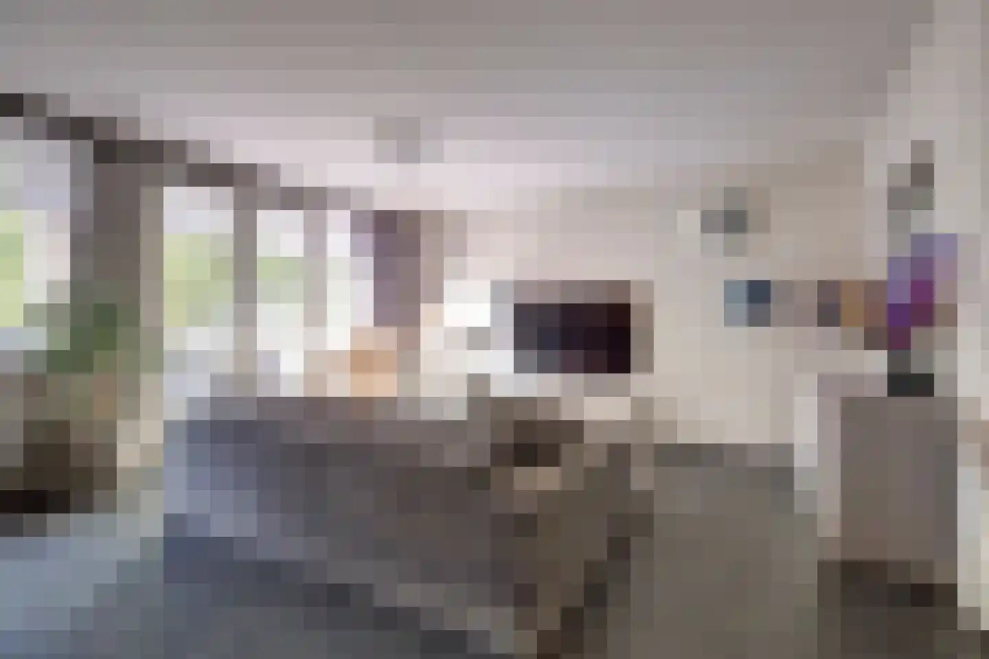 Geuzenpad 8 Vianen thumbnail 11