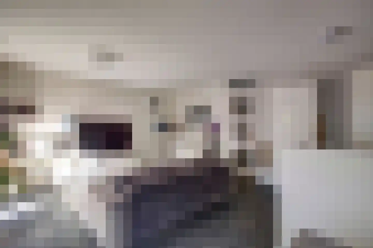 Geuzenpad 8 Vianen thumbnail 12