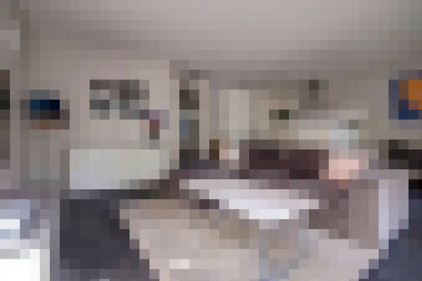 Geuzenpad 8 Vianen thumbnail 13