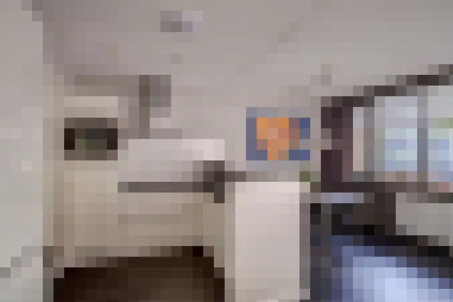 Geuzenpad 8 Vianen thumbnail 17