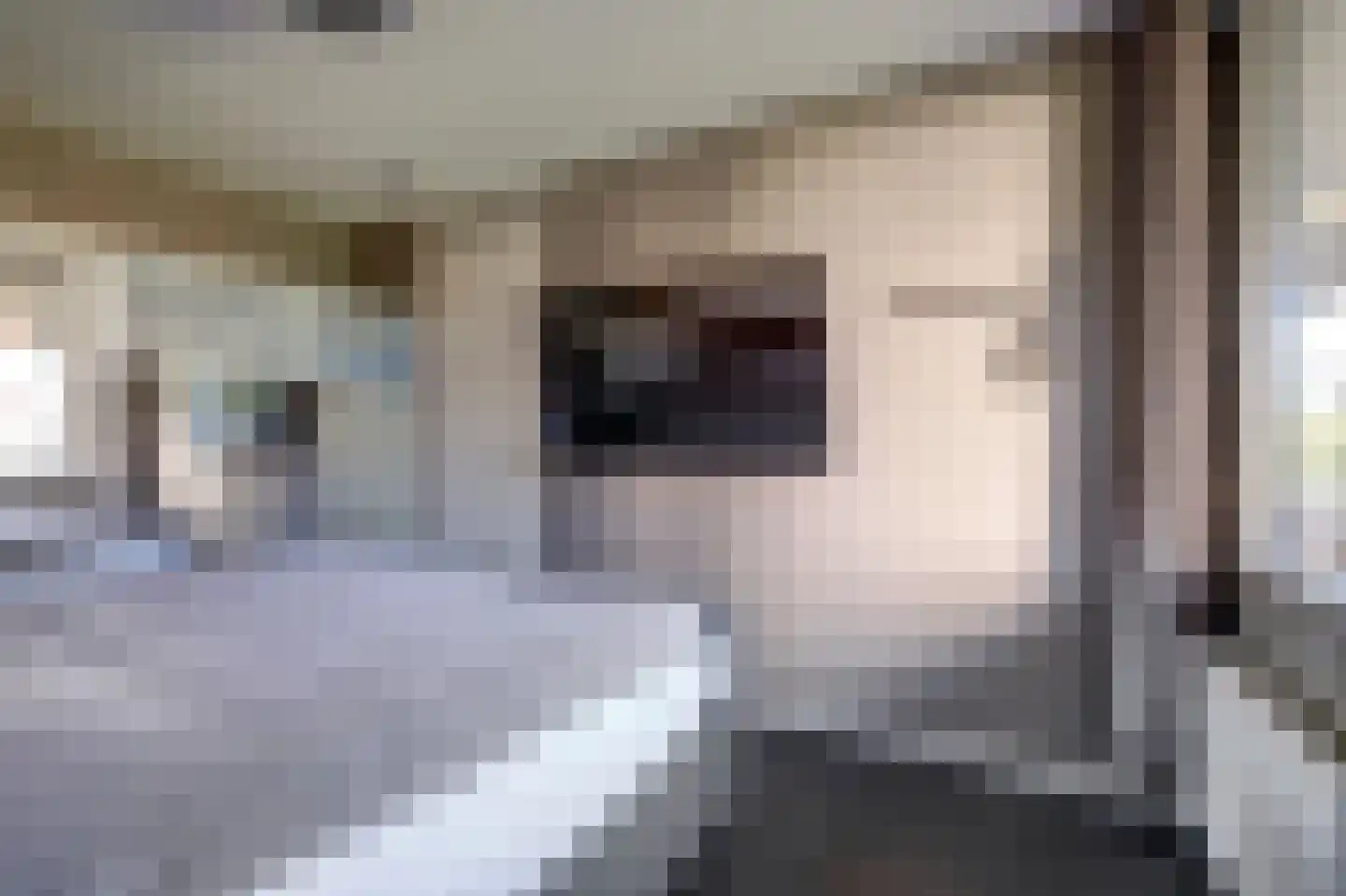 Geuzenpad 8 Vianen thumbnail 21