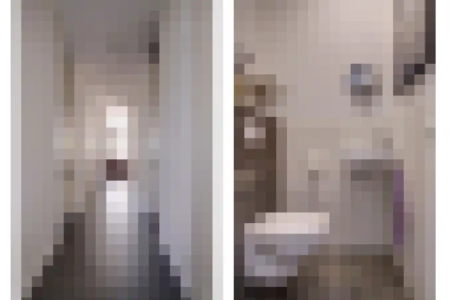 Geuzenpad 8 Vianen thumbnail 8