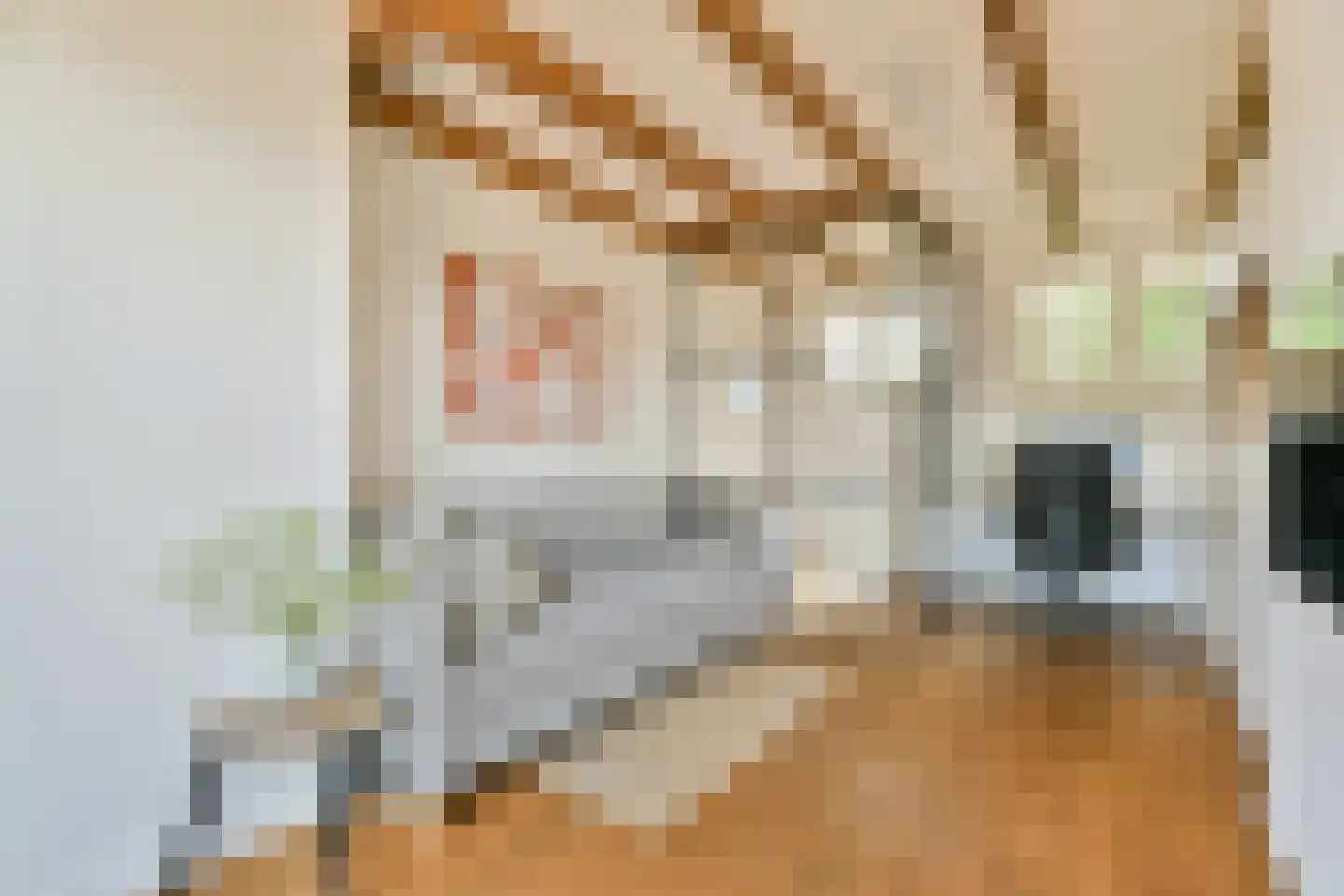 Geuzenstraat 14 3 Amsterdam thumbnail 11
