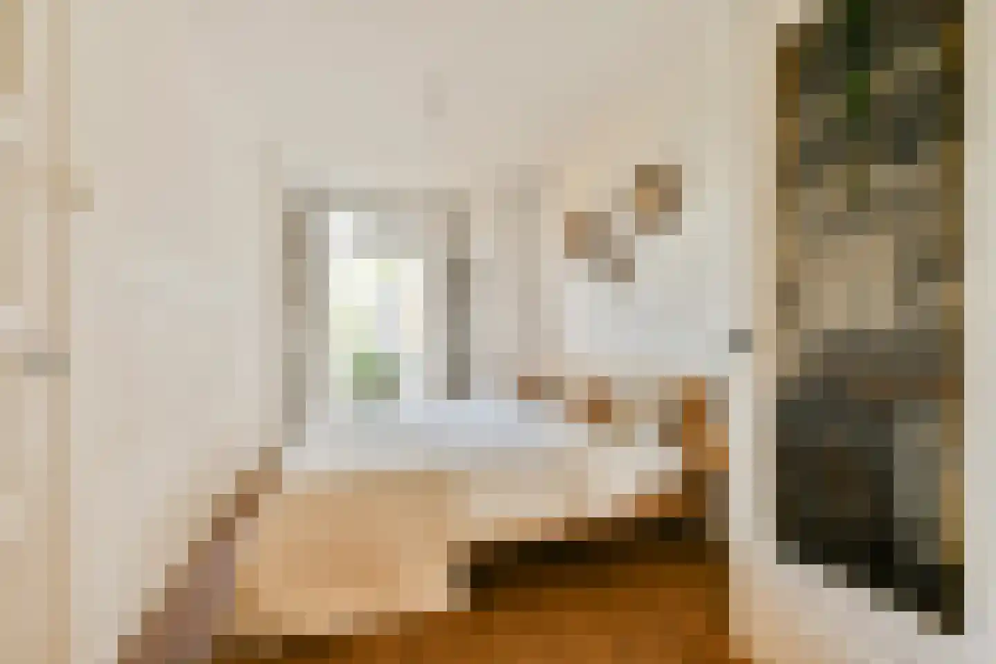 Geuzenstraat 14 3 Amsterdam thumbnail 18
