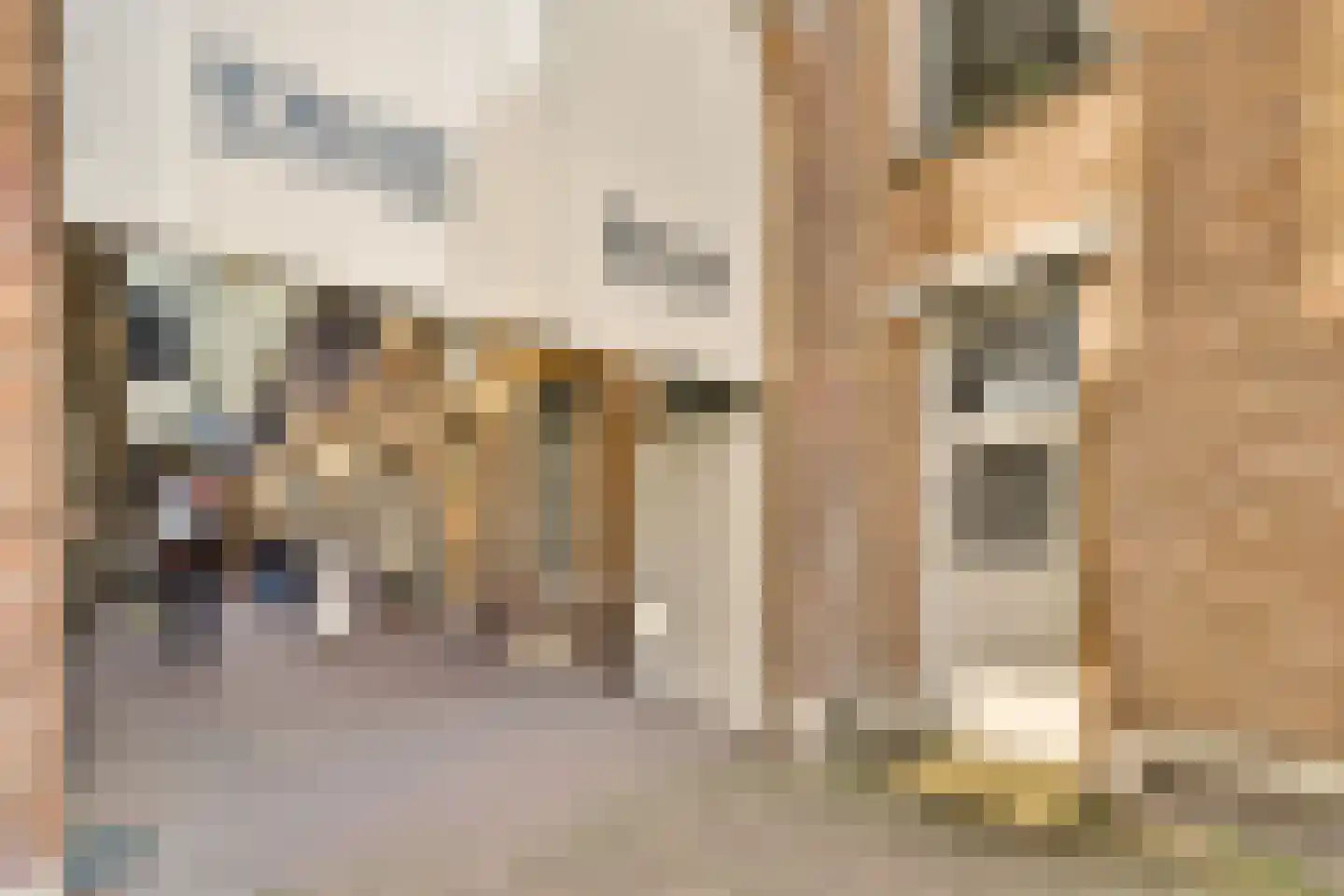 Geuzenstraat 14 3 Amsterdam thumbnail 24