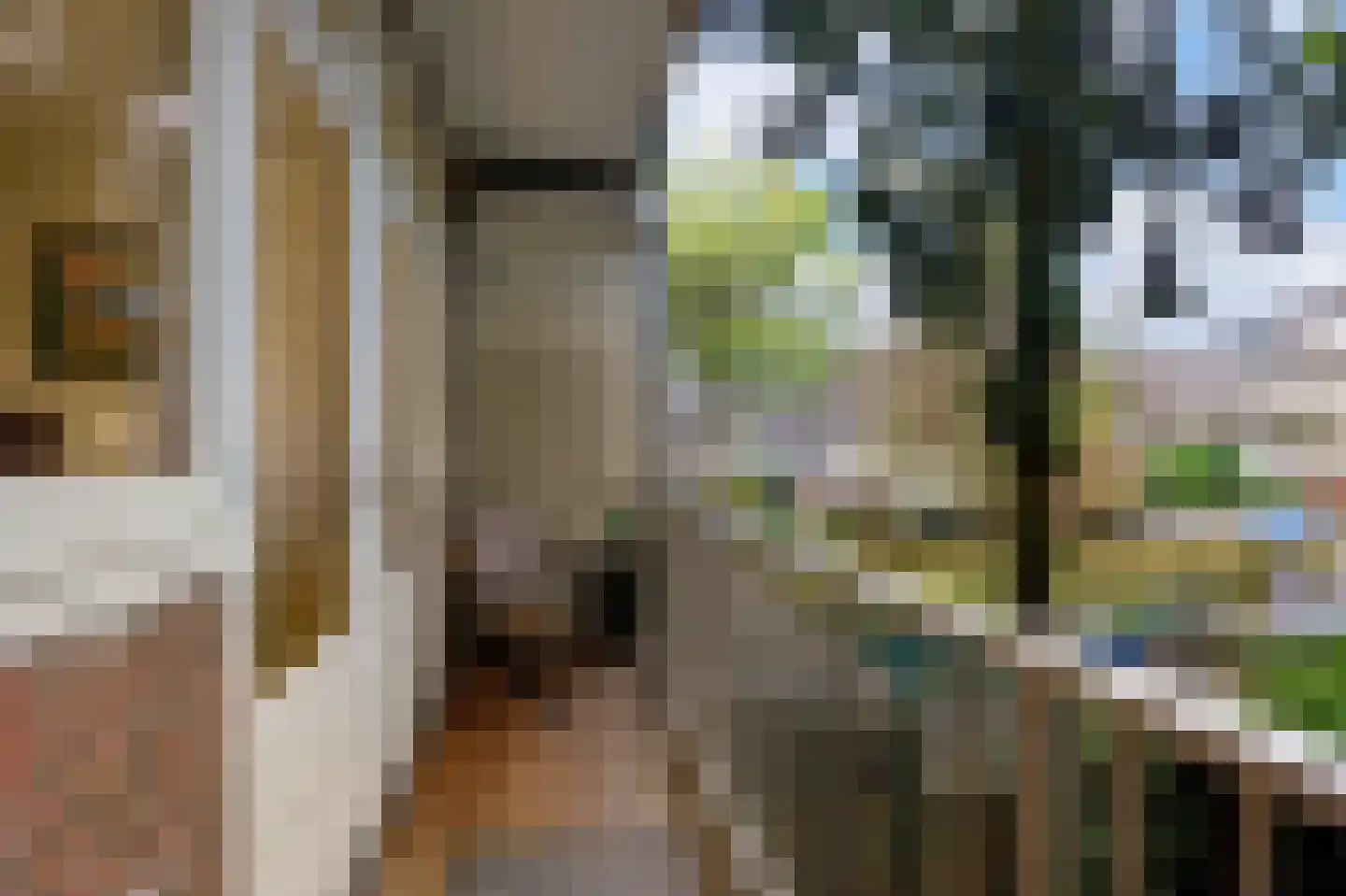 Geuzenstraat 14 3 Amsterdam thumbnail 25