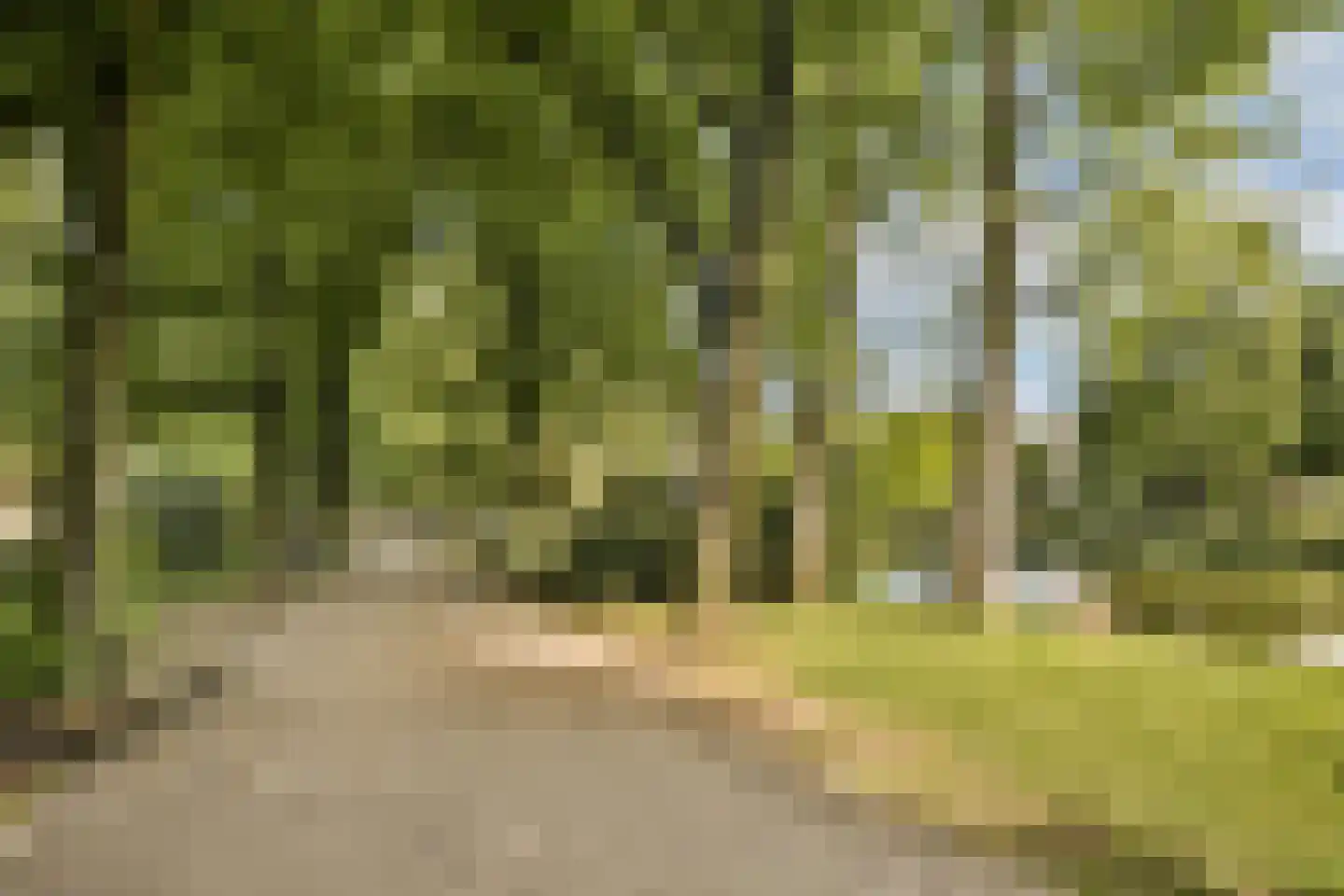 Geuzenstraat 14 3 Amsterdam thumbnail 25