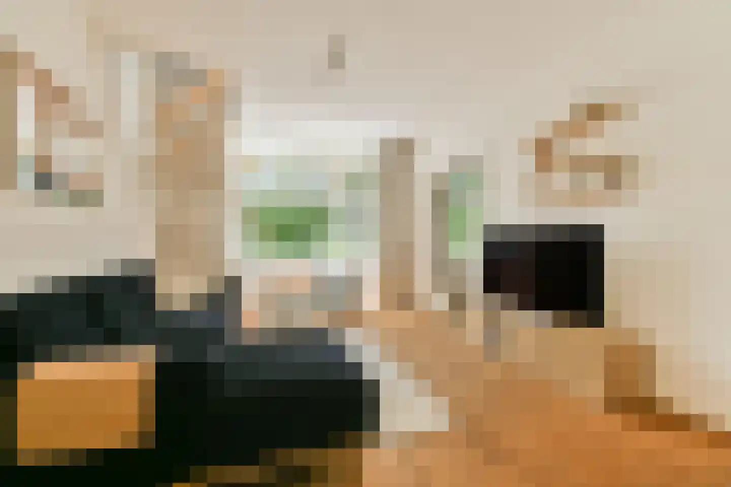 Geuzenstraat 14 3 Amsterdam thumbnail 4
