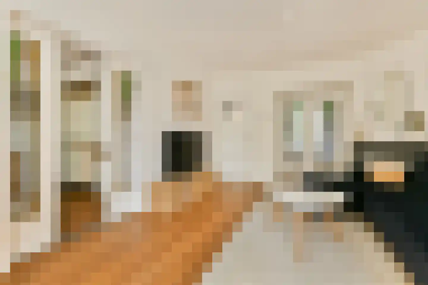 Geuzenstraat 14 3 Amsterdam thumbnail 5
