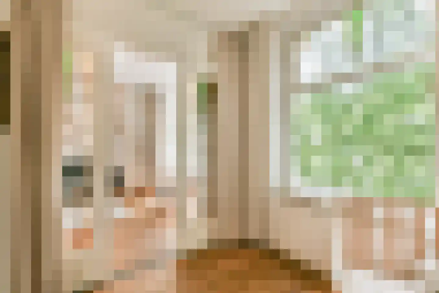Geuzenstraat 14 3 Amsterdam thumbnail 8