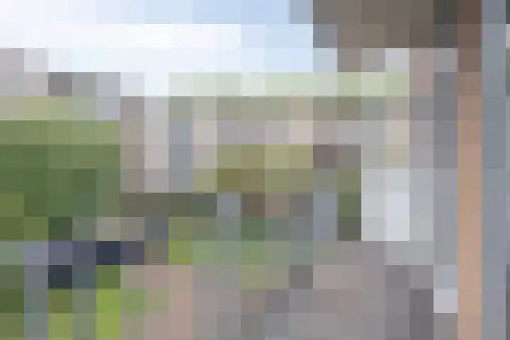 Geuzenstraat 15 1 Amsterdam foto 3