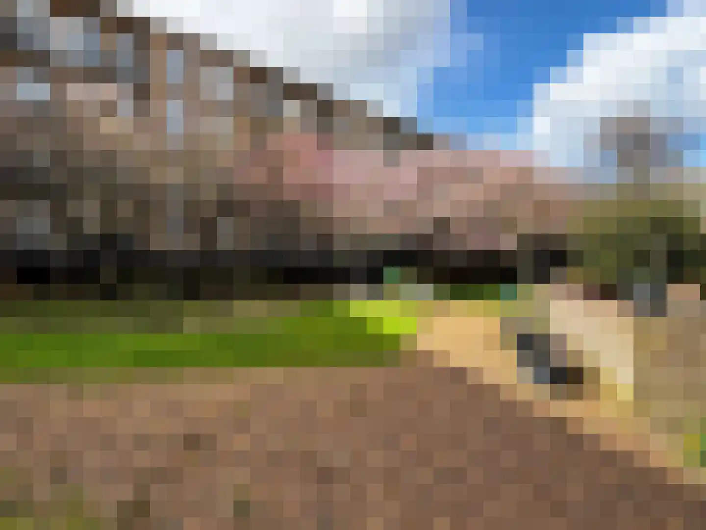 Geuzenstraat 15 1 Amsterdam thumbnail 30