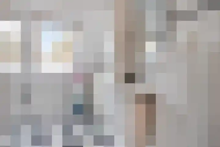 Geuzenstraat 2 Biervliet thumbnail 13